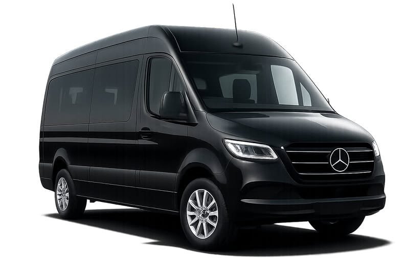 Mercedes-Benz Sprinter executive per gruppi