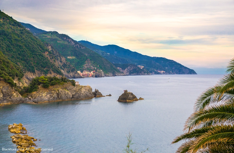 Green Ligurian headlands and a calm sea seen past a palm frond in soft light