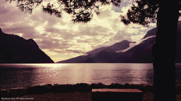 Lake and surrounding hills seen through overhanging tree branches