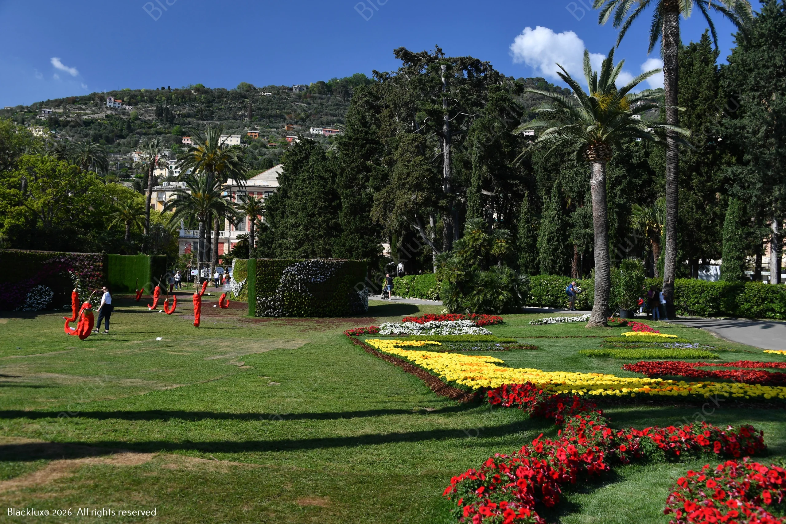Landscaped garden with palms, lawns and colourful flower beds