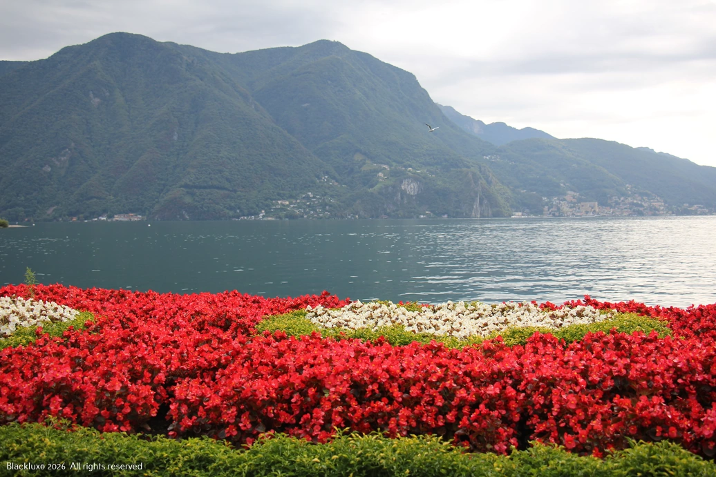 Formal red and white flowerbeds beside a lake with green mountain slopes beyond