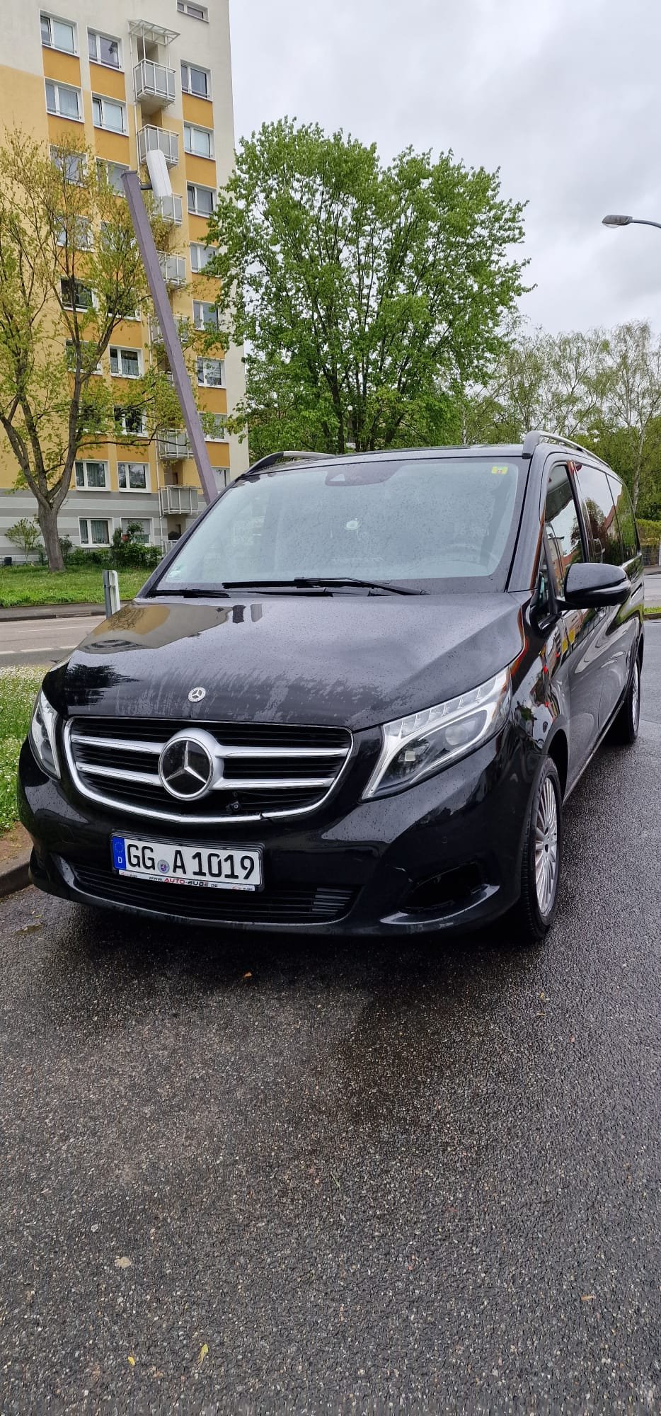 Black passenger van photographed from the front beside a tree-lined street