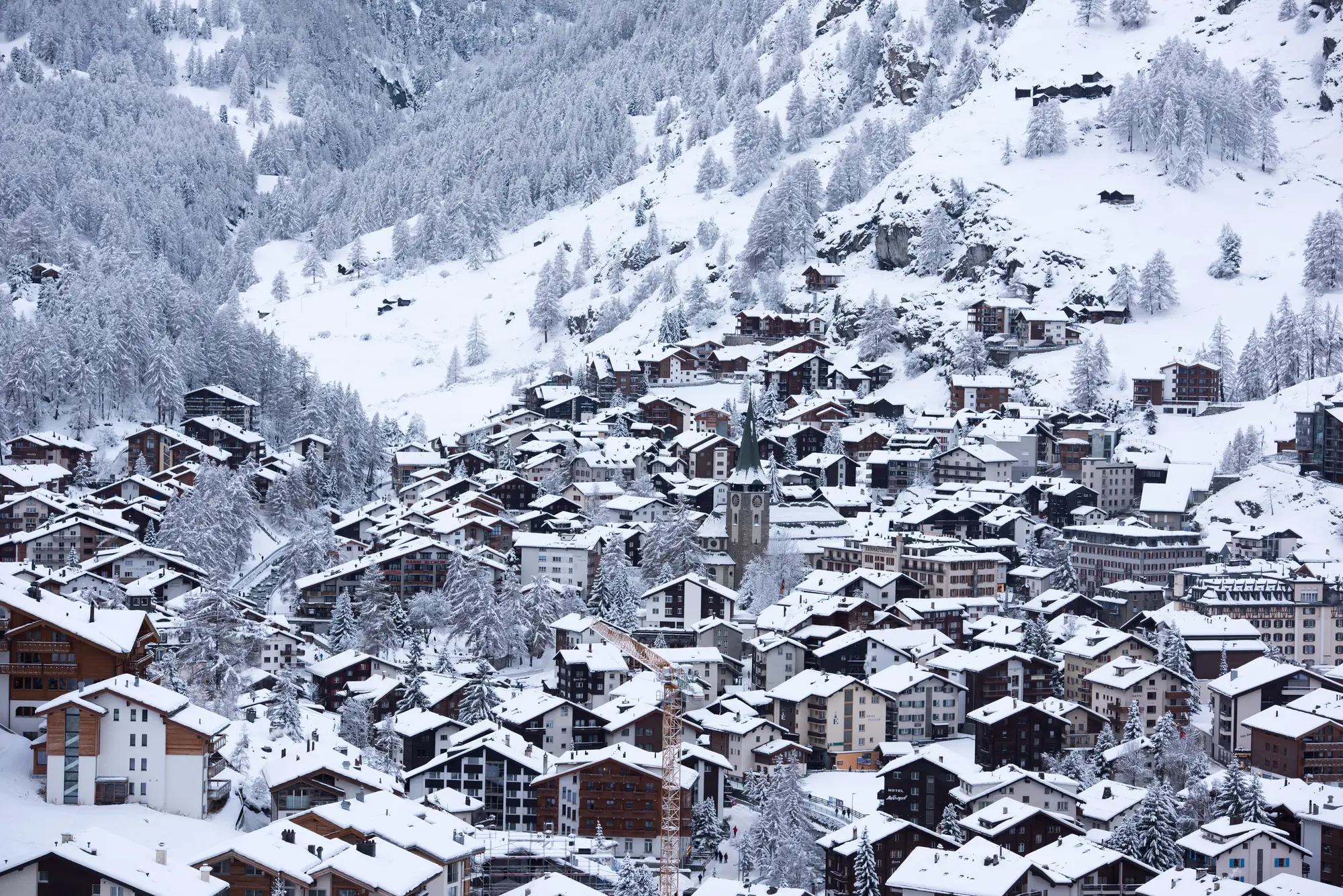 Famiglie e pianificazione dei seggiolini durante un transfer privato verso Grindelwald