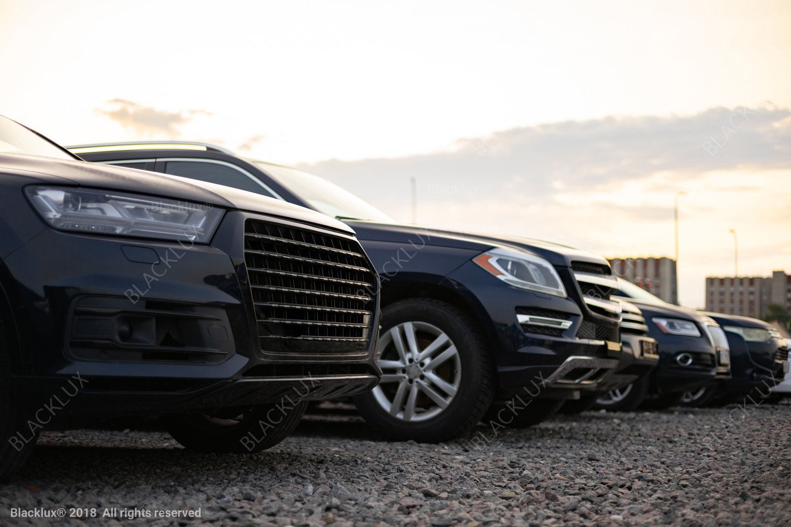 Low-angle view along a row of dark SUVs parked on gravel in soft daylight